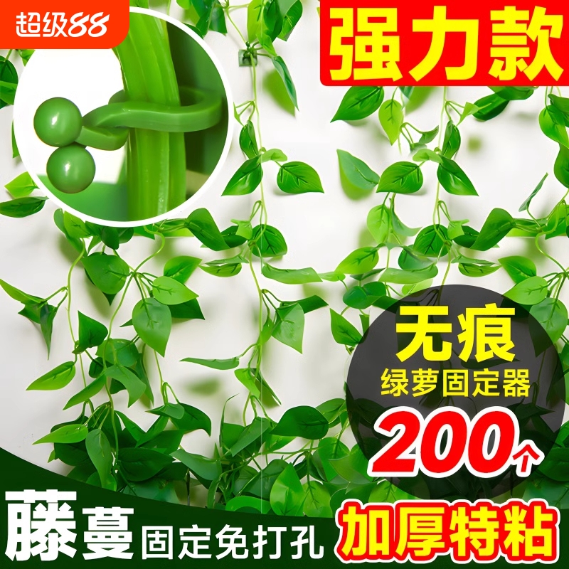 绿萝爬墙攀爬固定夹固定器