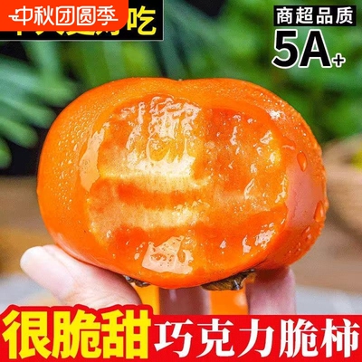 脆柿子新鲜水果当季甜柿子巧克力脆柿冰糖心硬柿子应季脆甜中秋