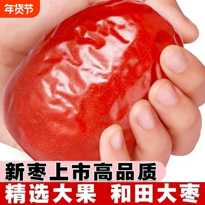 正宗新疆和田大枣红枣特产特一级骏枣特级新货产地新鲜枸杞优选
