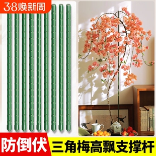 三角梅高飘支撑杆月季爬藤架子花架固定器绿植物防倒伏花卉支撑架