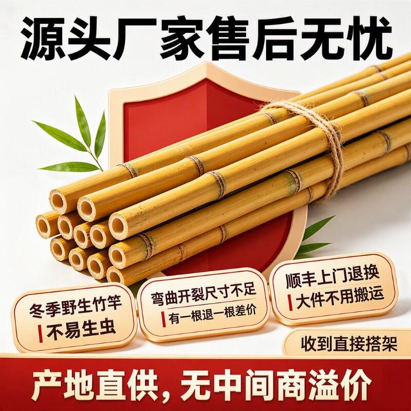 竹竿小竹杆菜园搭架子篱笆栅栏菜豆角黄瓜爬藤花架竹子围栏旗杆图片