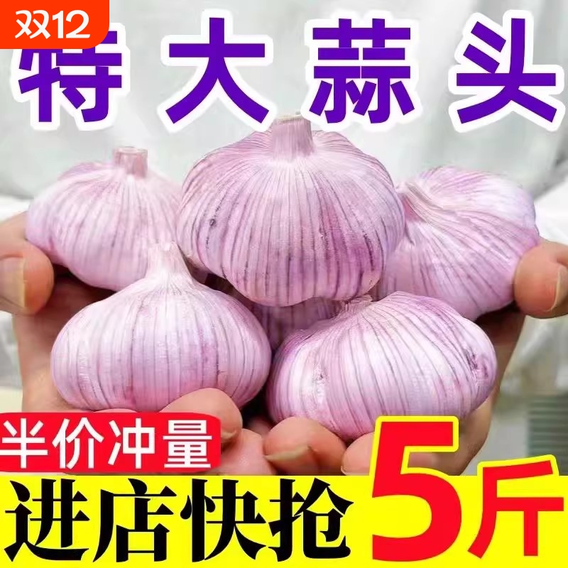河南大蒜干蒜头1斤/3斤5斤紫白皮新蒜干大蒜农家鲜大蒜头批发辛辣