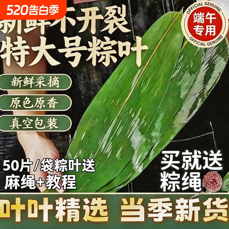粽子叶棕叶新鲜大号新叶包粽子专用的叶子端午节商用批发干粽叶大