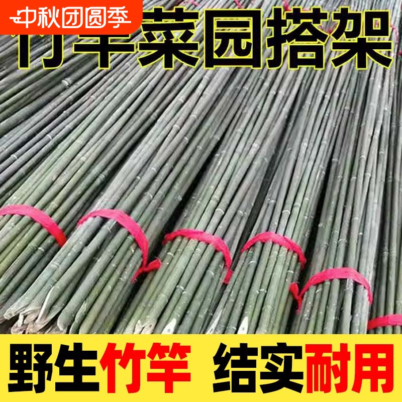 竹竿菜园搭架蔬菜黄瓜竹竿爬藤架										