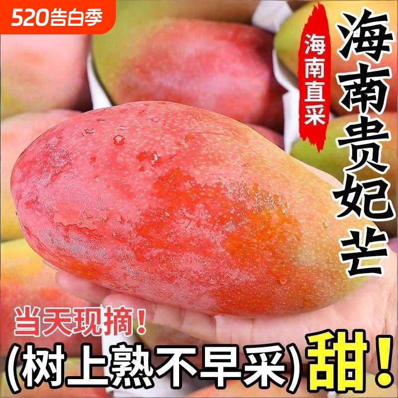 现货海南贵妃芒果树上熟芒果新鲜水果大果当季整箱现摘辣椒
