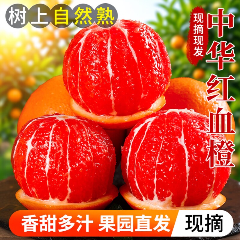 橙子秭归现摘中华红血橙孕妇水果湖北直发果园大果榨汁年货节精选