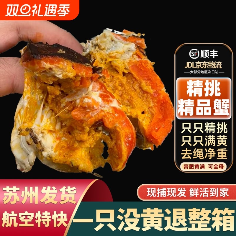 【精挑只只满黄】精品大闸蟹鲜活螃蟹全母公超特大河蟹礼盒苏州发