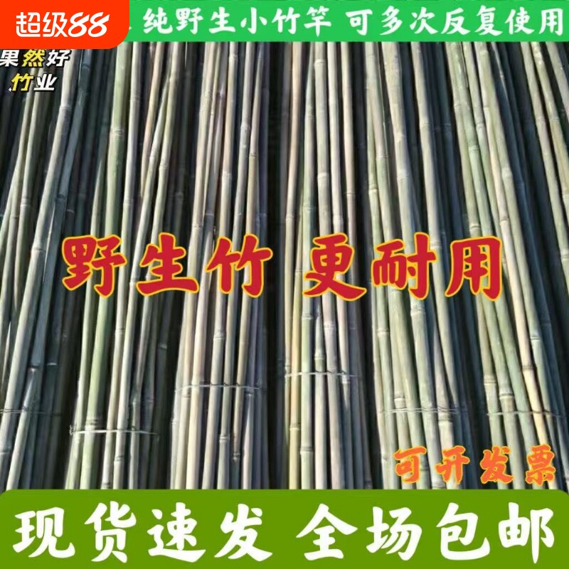 小竹子搭架菜园黄瓜豆角番茄架杆竹篱笆栅栏竹竿爬藤架支撑支架杆