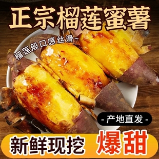 正宗真榴莲蜜薯5斤黄心红薯新鲜农家番薯烤地瓜山芋流蜜沙地烧烤