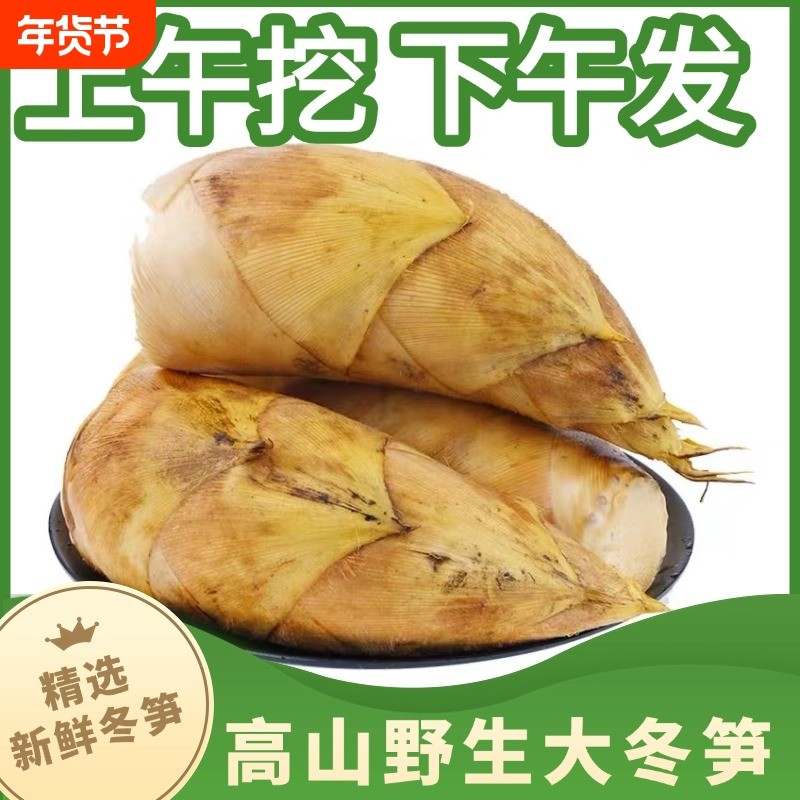 高山野生黄泥冬笋去根精选农家自种正宗5斤江西现挖竹笋毛竹笋