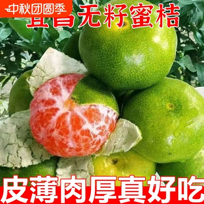 正宗云南蜜桔新鲜水果9斤青皮蜜橘应季早熟橘子无籽桔子产地批发
