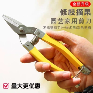 不锈钢修枝剪园艺家用水果剪刀果蔬采摘专用采钳桔剪枝器圆头果剪