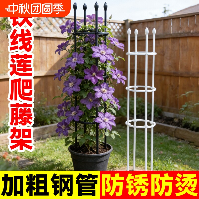 铁线莲爬藤架花架支撑杆图片