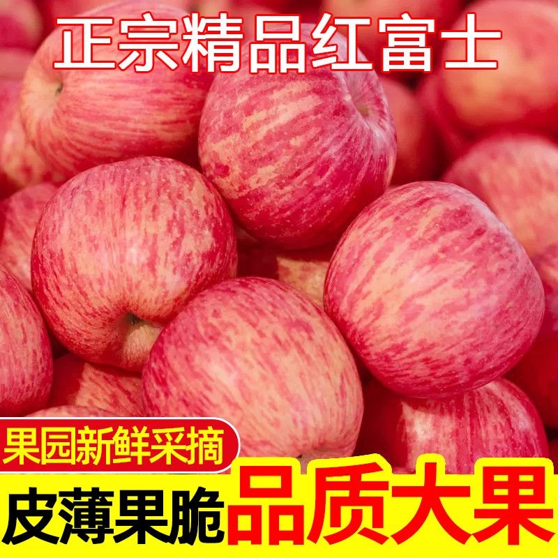 陕西精品红富士苹果水果新鲜当季脆甜纸袋富士整箱批发红富士1