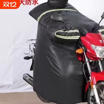125跨骑摩托车专用挡风被冬季加绒加厚加大防水大号2025新款男士
