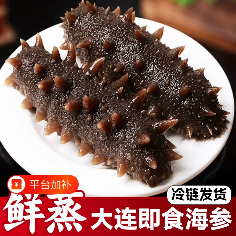 大连地标鲜食海参特大号肉质Q弹新鲜加工即食辽刺参滋补大连海参