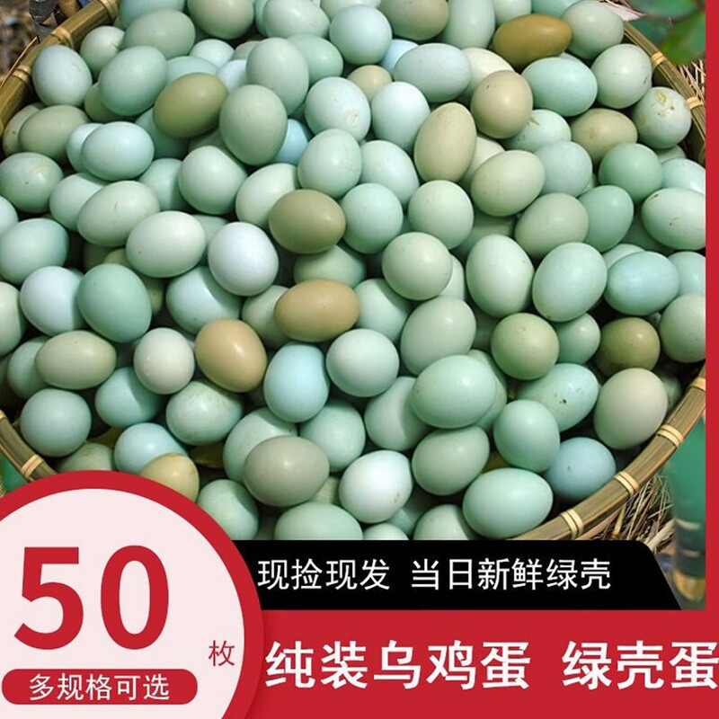 农场散养正宗农家新鲜绿壳乌鸡蛋 散养自养天然 土鸡蛋月子蛋50装