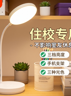小台灯学习专用充电护眼大学生宿舍儿童led卧室床头灯插电桌面