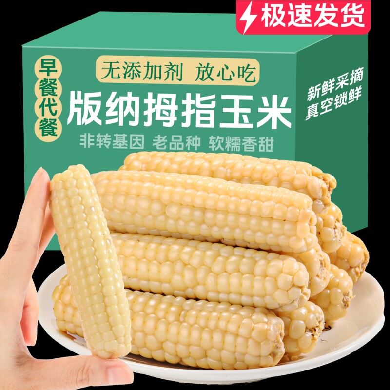 拇指玉米云南西双版纳软糯香甜小玉米甜黏玉米棒早餐代餐手指玉米