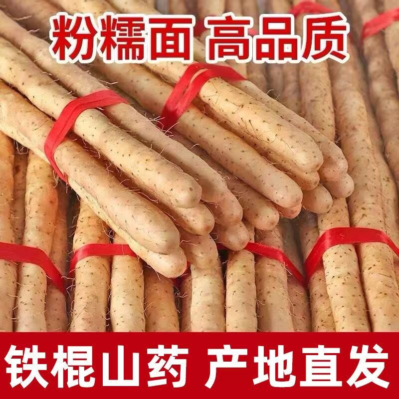 正宗铁棍小白嘴山药新鲜山药河北农家蔬菜产地直发5斤辅食源头