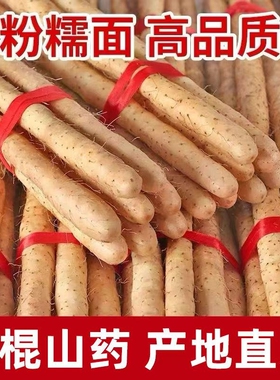 正宗铁棍山药新鲜山药河北小白嘴农家蔬菜产地直发5斤辅食源头