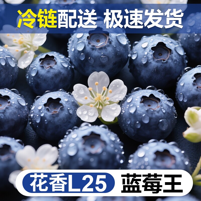 云南蓝莓新鲜水果当季鲜果现摘L25花香高山孕妇整箱冷链包邮一颗