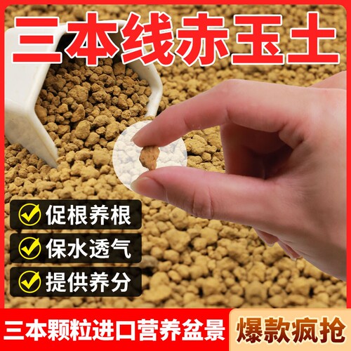 三本线日本进口赤玉土硬质颗粒盆景专用珍珠岩铺面石植物营养土壤