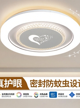 主卧室吸顶灯客厅房间吊灯具大全2025新款现代简约大气中山灯具