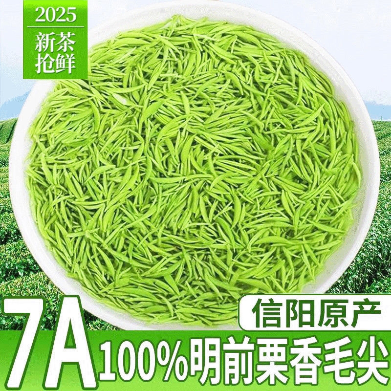 毛尖2025新茶明前特级信阳原产嫩芽浓香型毛尖绿茶散装茶叶礼盒装
