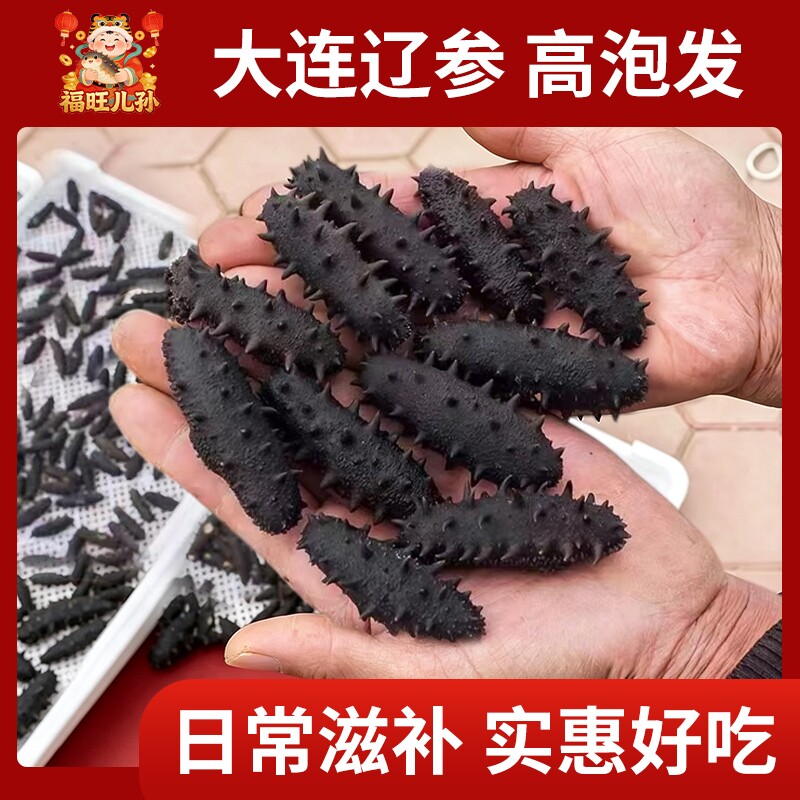 干海参高泡发大连刺参底播精选小个头速发非即食海参