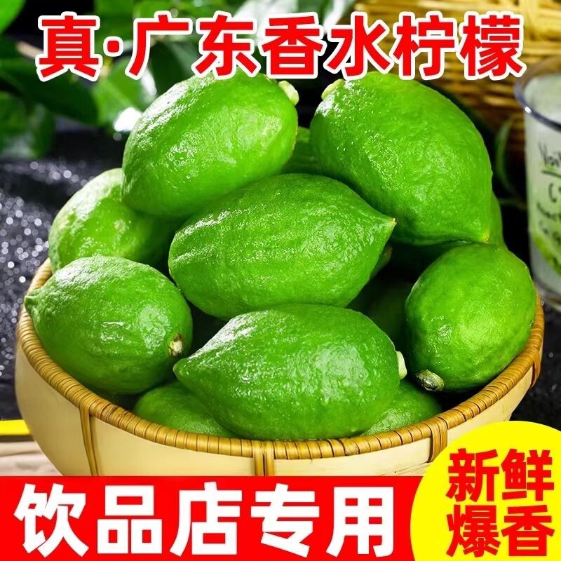 广东香水柠檬新鲜青柠檬现摘现发新鲜无籽柠檬饮品店专用整箱包邮