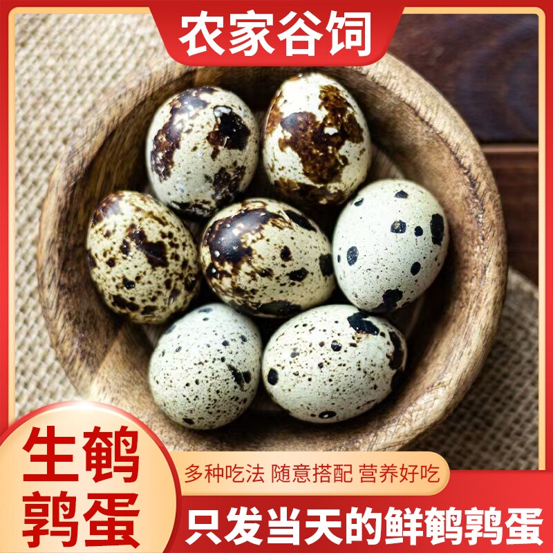 新鲜生鹌鹑蛋农家土特产杂粮喂养孕妇宝宝小鸟蛋农家自产50枚