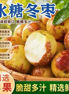 正宗山东沾化冰糖冬枣新鲜水果脆甜整箱品包邮当季特产健康水果