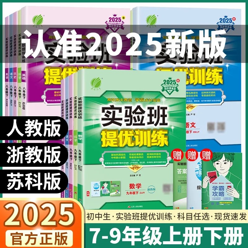 初中实验班提优训练同步练习