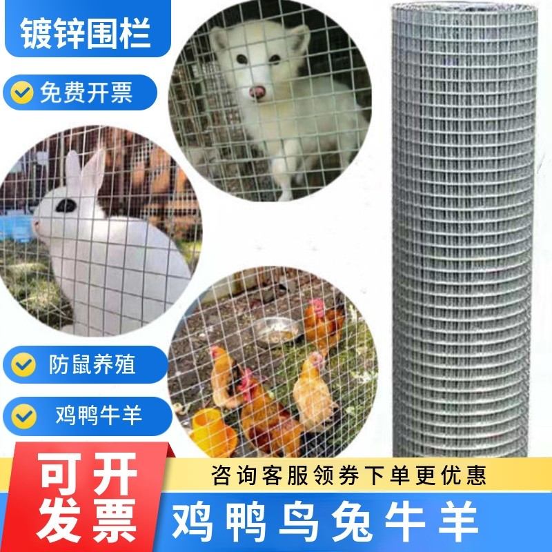栅栏镀锌铁丝钢丝网防锈防鼠圈地防护热镀锌围栏养殖鸡鸭防蛇小孔