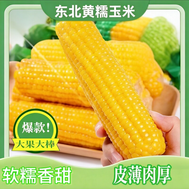 东北黄糯玉米棒10支新货真空装黄苞米现摘新鲜甜玉米粒粘粗粮代餐