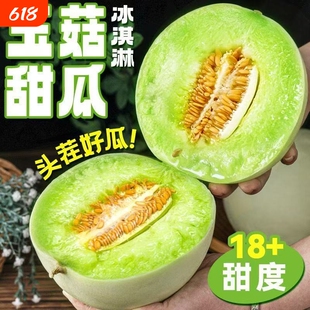 单县玉菇甜瓜   现摘现发山东超软冰淇淋当季新鲜整箱香甜软糯