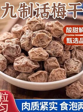 正宗酸甜话梅蜜饯果干九制话梅干泡水咸梅子休闲解馋家用零食罐装