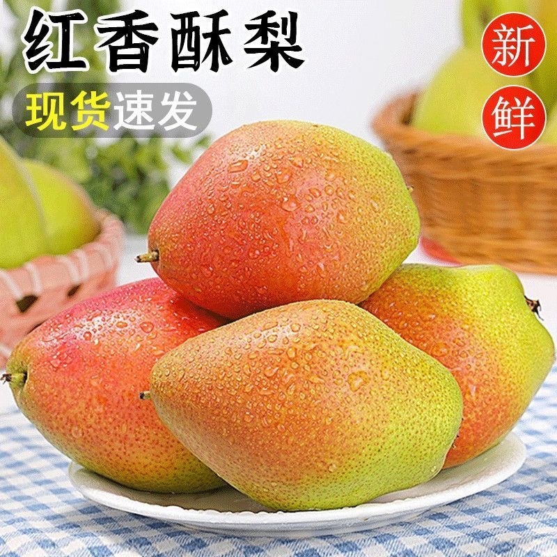 香梨新鲜水果梨子红香酥梨应季当季整箱酥脆梨脆甜一级包邮时令