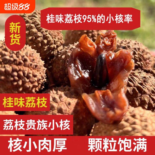 正宗桂味荔枝干新货非特级干荔枝小核肉厚大果莆田新鲜荔枝干货