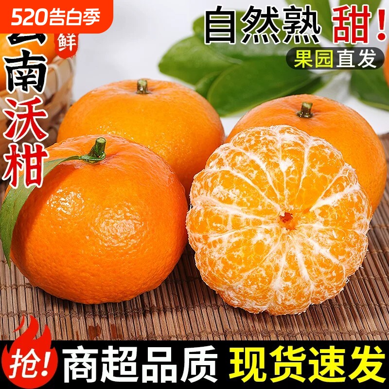 云南沃柑当季新鲜水果纯甜多汁现摘柑橘大果整箱包邮薄皮橘子鲜果