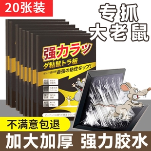 老鼠贴超强力粘鼠板胶粘大老鼠新款 家用室内驱灭捕鼠夹全窝端神器