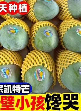 四川攀枝花凯特芒果当季新鲜水果现摘超甜彩虹芒大青吉禄芒果整箱