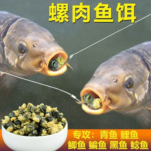 小药螺肉青鱼饵料草鱼鲤鱼