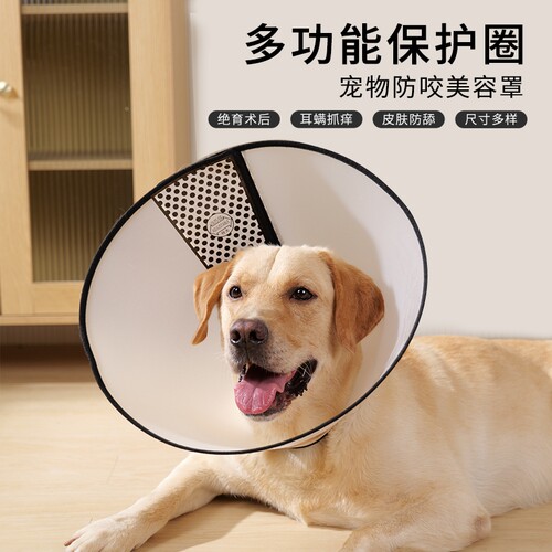 伊丽莎白圈防舔咬圈|千人加购