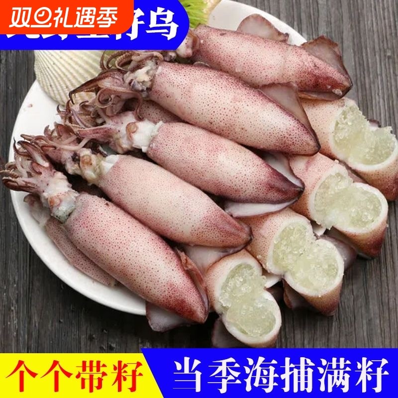海兔子满籽笔管鱼新鲜带籽纯籽籽乌子乌小鱿鱼乌贼生鲜海鲜冷冻货