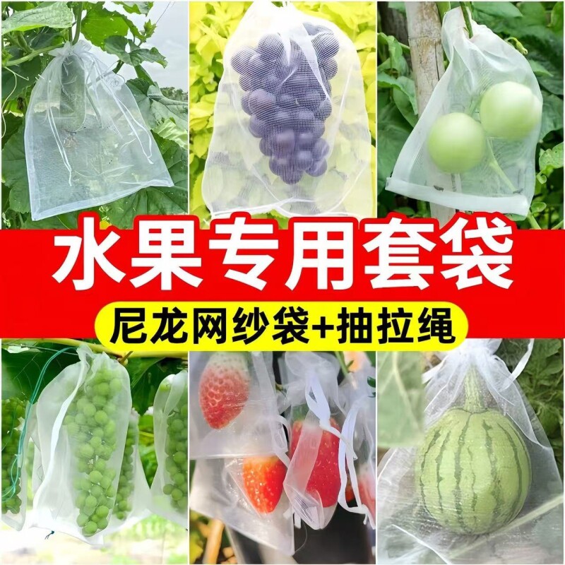 水果防鸟防虫网袋瓜果保护袋无花果葡萄透气网袋保护套西瓜传统