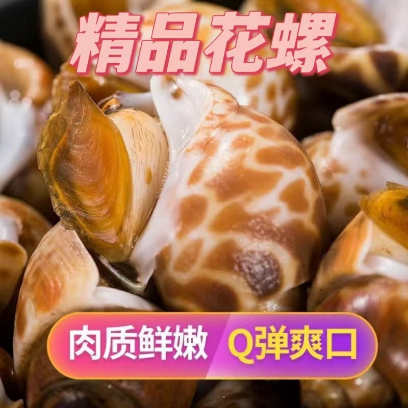 花螺鲜活冷冻海螺冷冻海鲜东风螺猫眼螺凤螺水产无沙无泥商用包邮