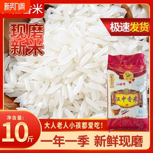 长粒香米10斤新米籼米猫牙米丝苗米煲仔饭大米软糯现磨现发