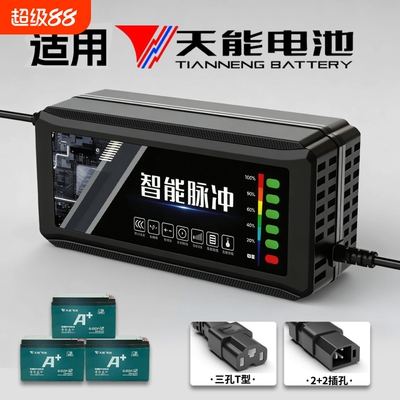 适配【天能电池】电动车充电器